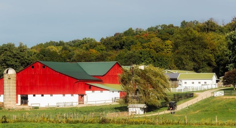 Amish People In Rural Wisconsin - Mandy and Michele