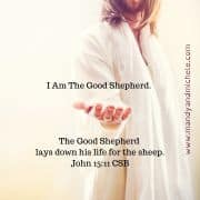 The Good shepherd lays down His life.